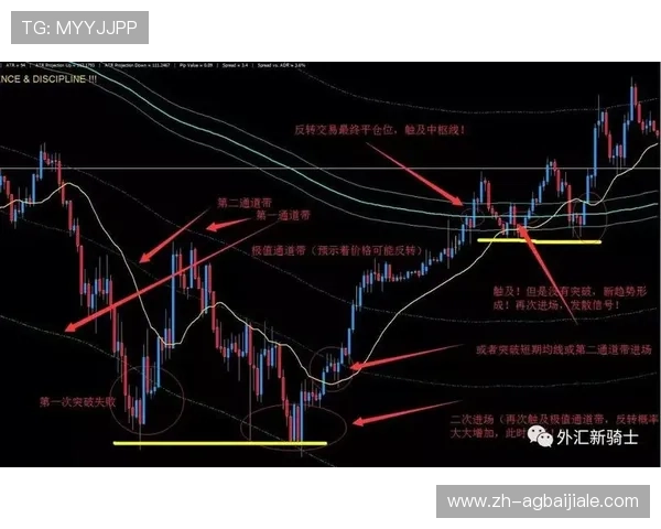 最新AG国际真人游戏策略与技巧，助你轻松提高胜率